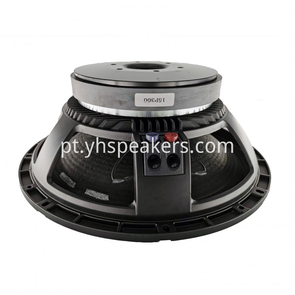 PRO Audio 15 Inch Speaker For Home Theater